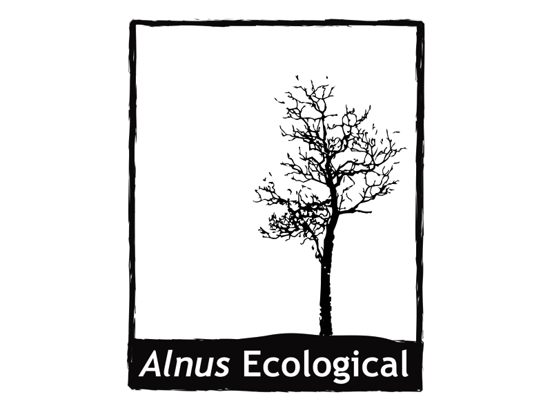 Alnus Ecological