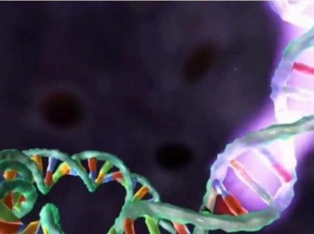 Genome Animation – Medical Animation