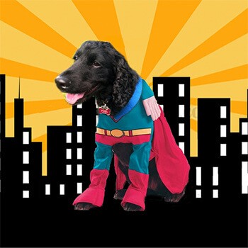 Pixel Superdog