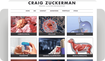 Craig Zuckerman - Tile