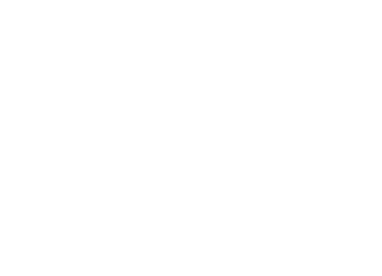 Logo – Adesis (White)