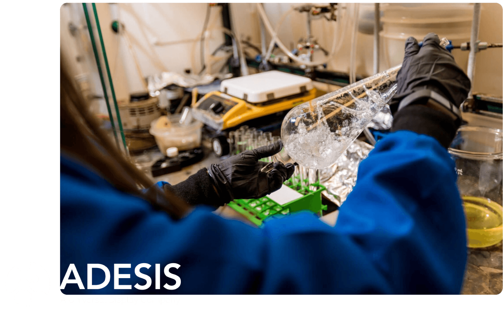 Meet Adesis